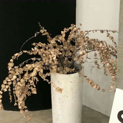 Furry插画元素设计Furry群